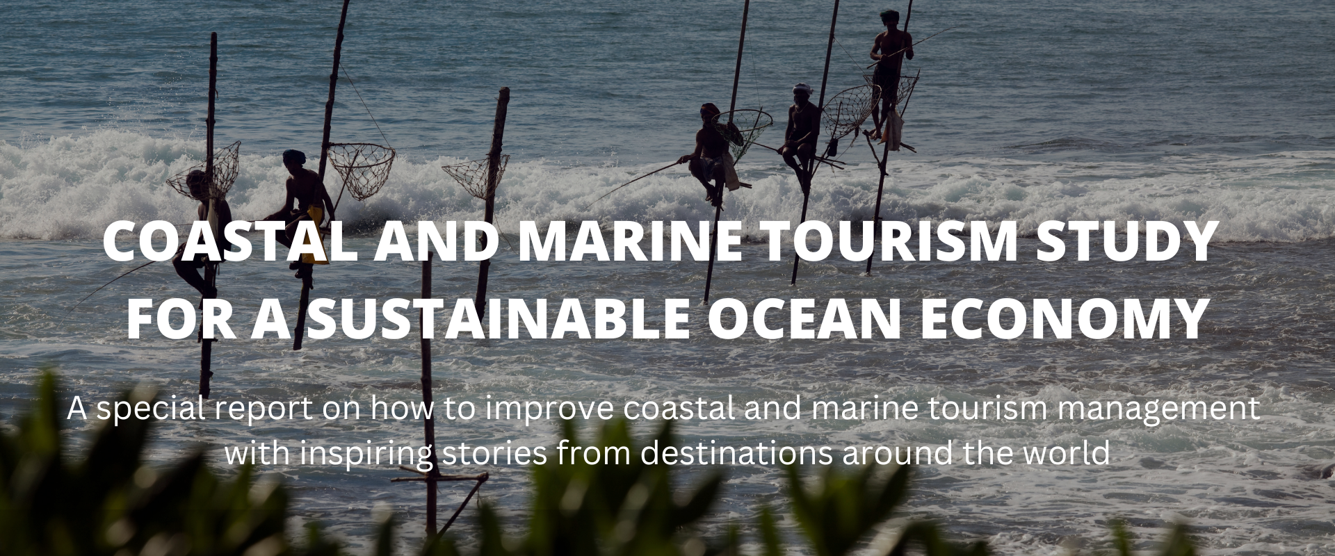 EWI Contributes to Coastal and Marine Tourism Study for a Sustainable Ocean Economy2